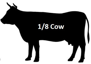 Eighth Cow