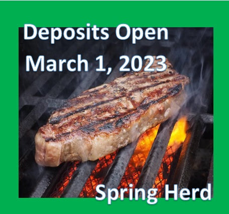 VIPs ONLY --> Premium Grass-Fed Beef