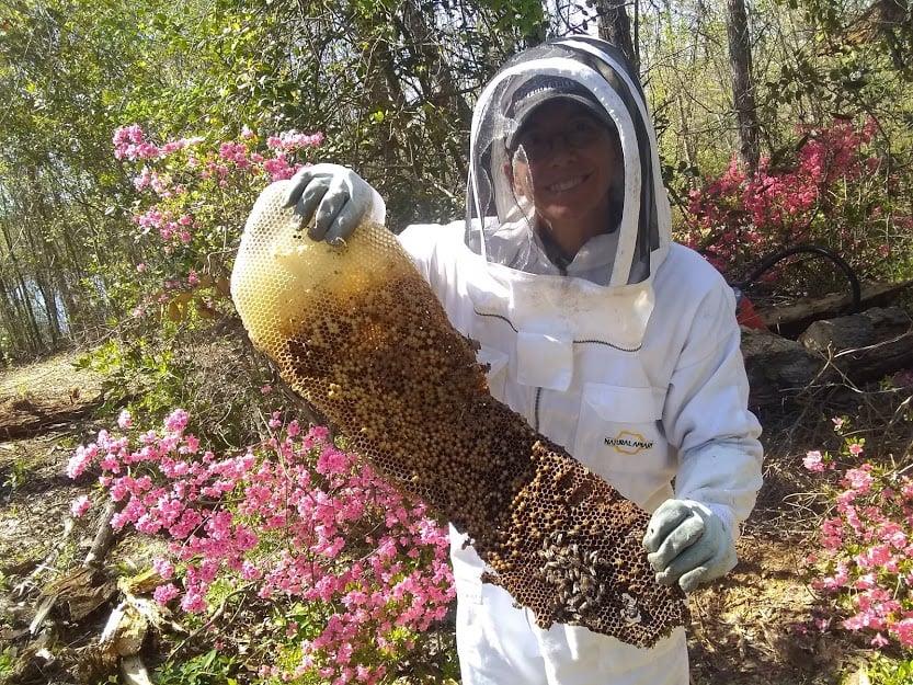 Raw Georgia Honey
