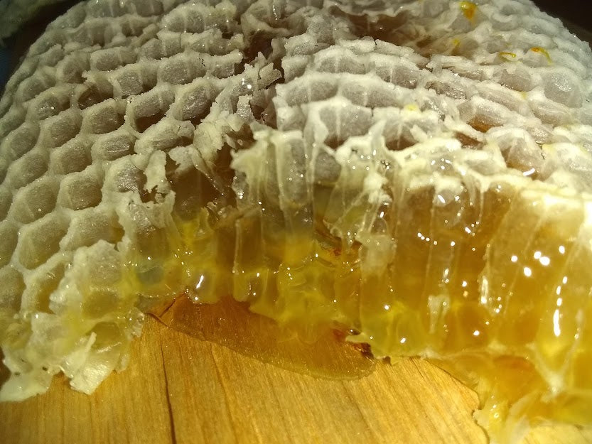 Raw Georgia Honey